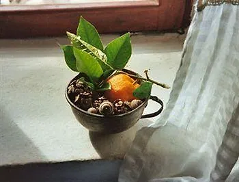 Ocakkoey Village Ξενοδοχείο Ολουντενίζ